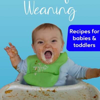 Wonderful Weaning Book